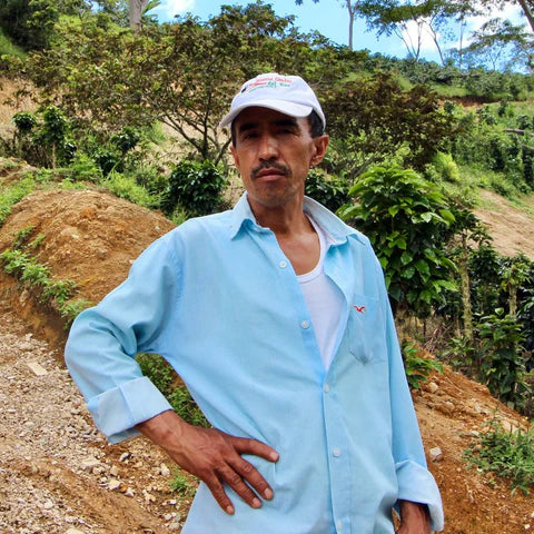 Jose Martinez - Caturra - Image 3