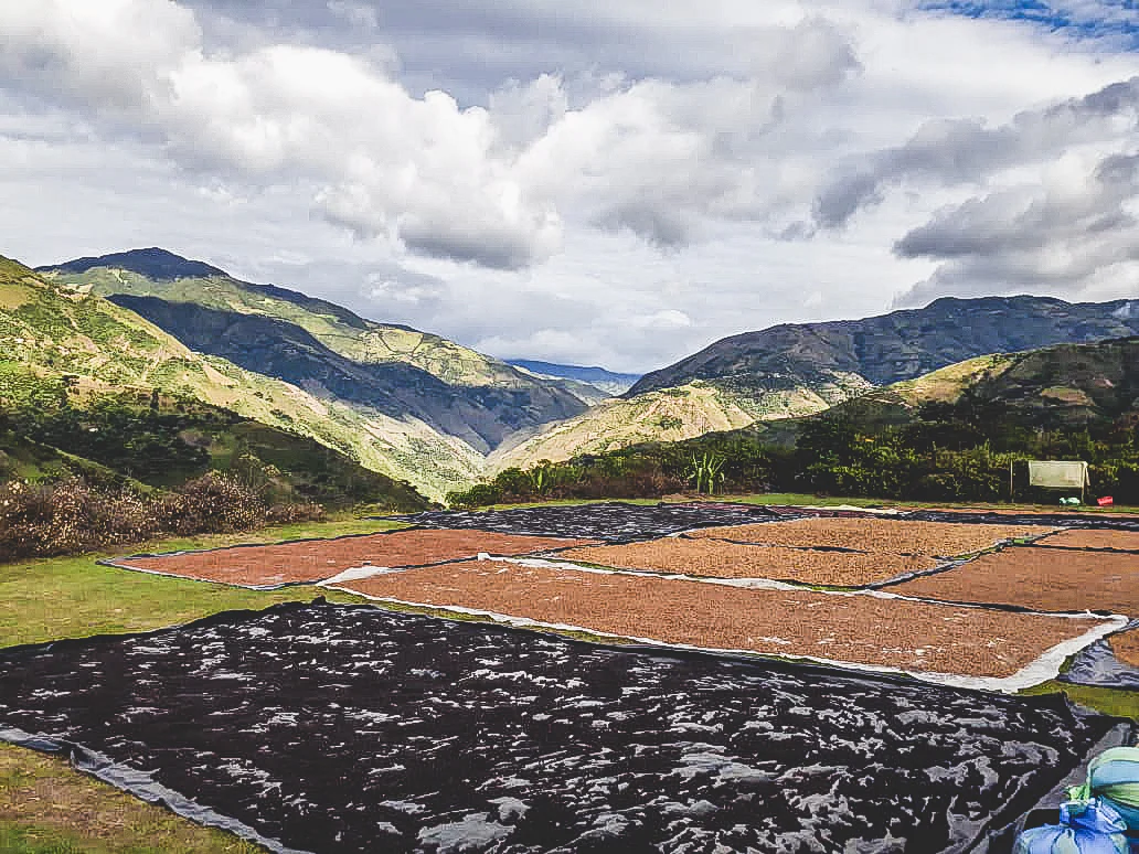 Las Perlitas Chiroso - Colombia - Image 2