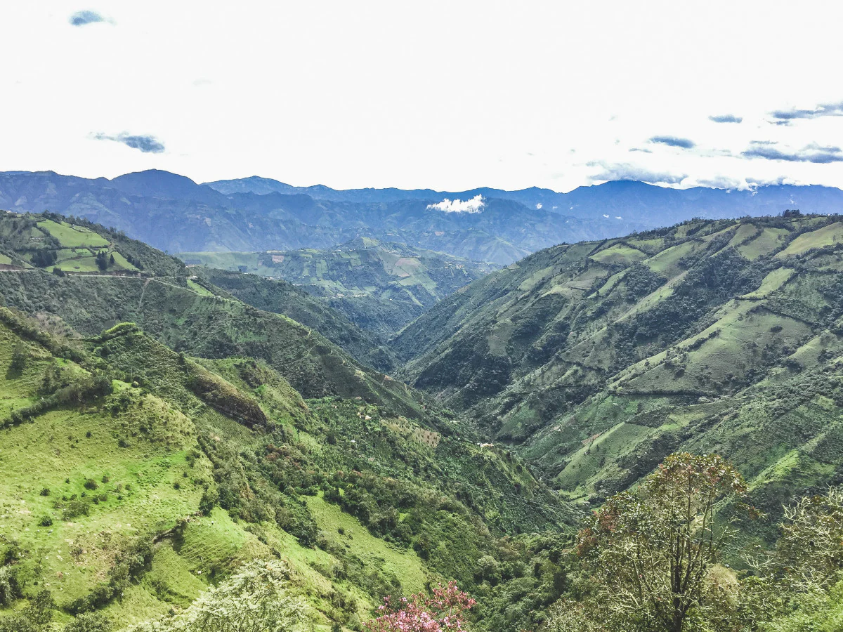 Las Perlitas Chiroso - Colombia - Image 3