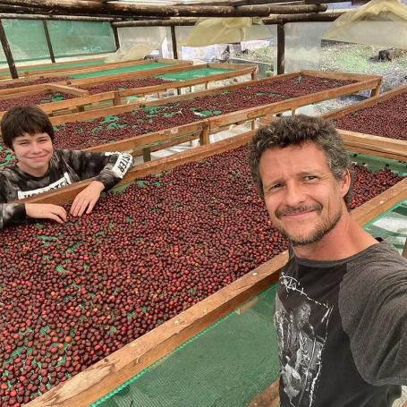 Pepe Jijón - Ty-Oxy Ecuador (Late Harvest 2025) - Image 3