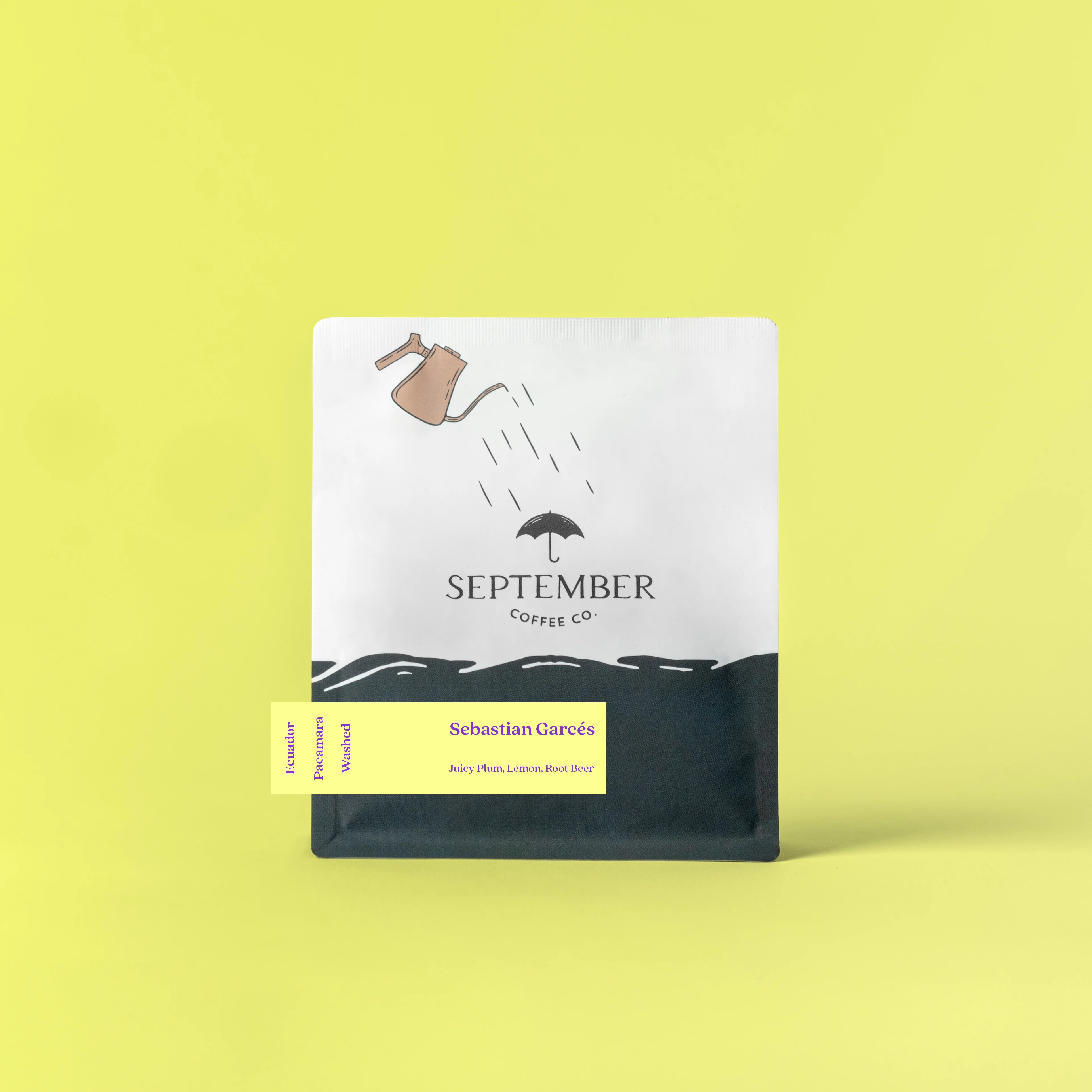 Sebastian Garcés - Ecuador Pacamara (2025)