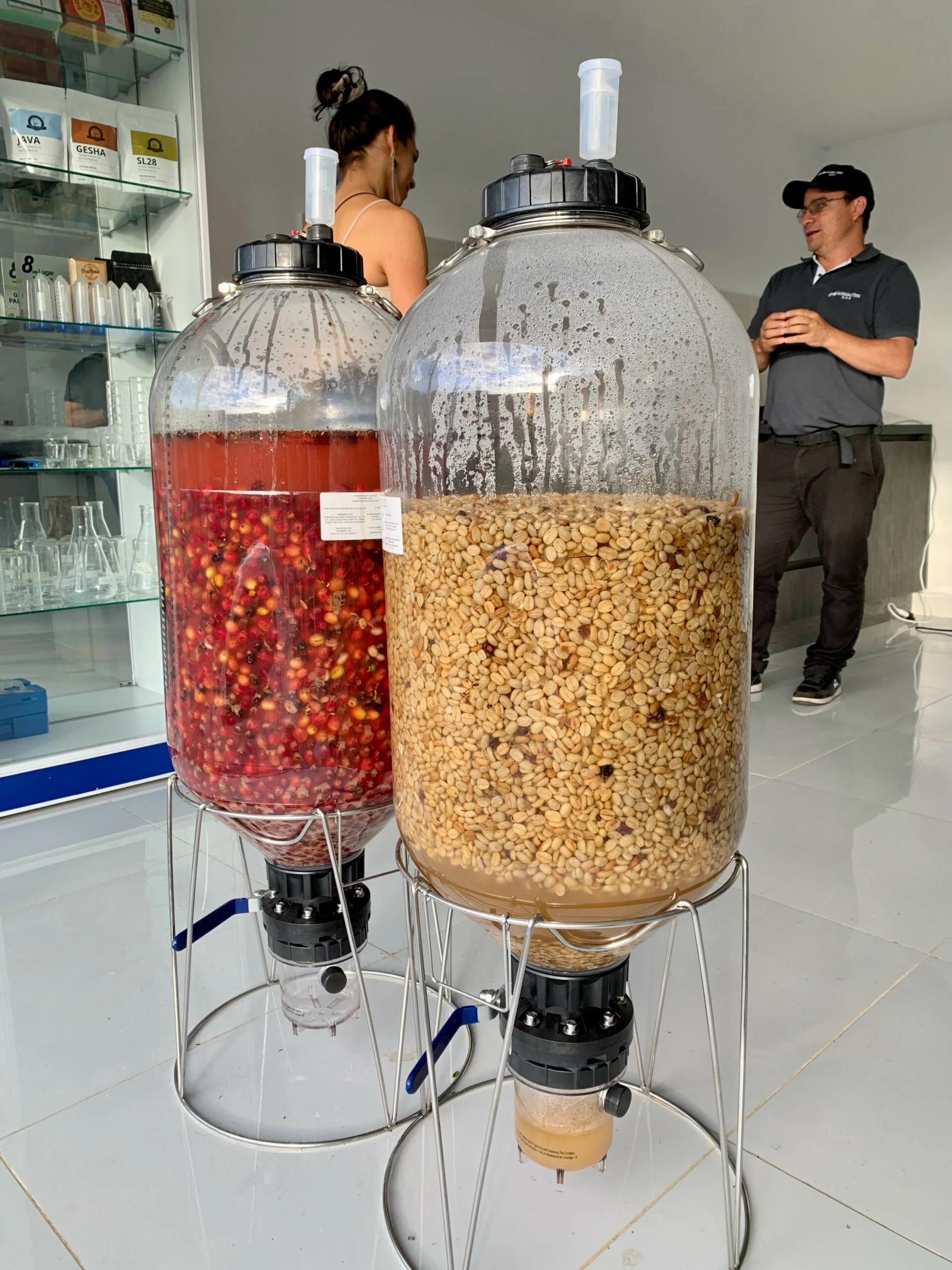 Wilton Benitez - Colombia Geisha Anaerobic Yeast Inoculated - Image 3